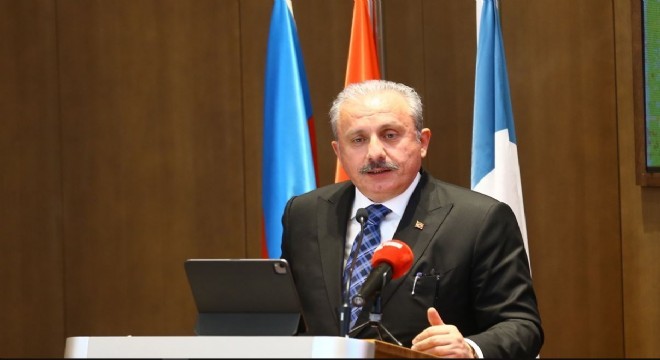 'Azerbaycan'ın sevinci sevincimiz, kederi kederimiz'