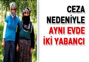 Aynı evde iki yabancı!