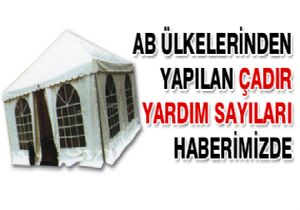 AB Ülkesinden Van'a 