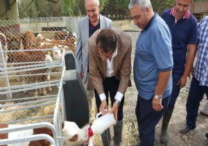 Aydemir: 'Kararlıyız'