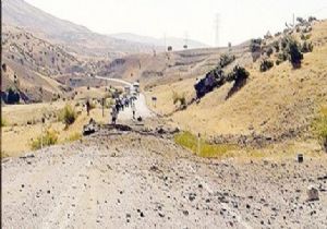 Terör operasyonunda 12 gözaltı
