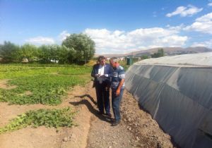 Aydemir'den Tarımda Ufuk Arayışı