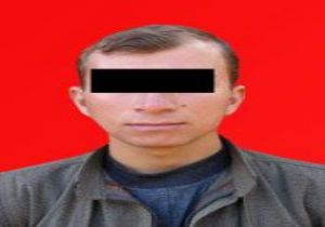 Savaş uçaklarından 'it' gibi korkuyorlar
