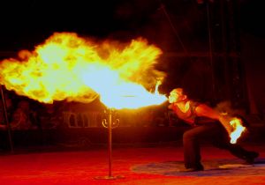 Safari Sanat Sirki Erzurum'da