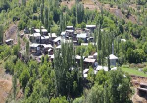 Erzurum'da bu köyün başı bakın neyle belada