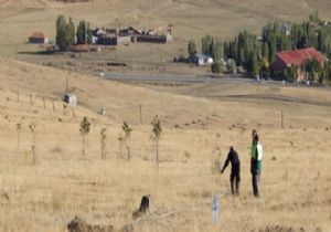 Erzurum şehidini arıyor