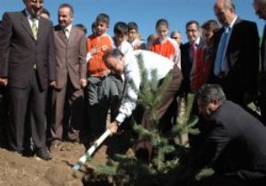 Aziziye Tabyası ağaçlandırıldı