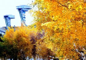 Erzurum'dan seyri doyumsuz manzaralar