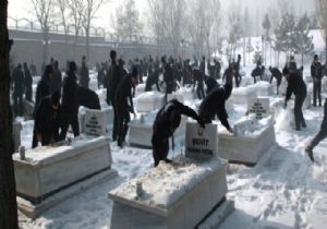 Dedeciğim Ben Geldim