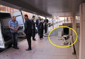 Bunu yapanlar insan olamaz..!
