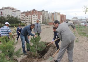 Erzurum TCDD'den çevre atılımı