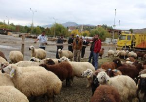 Bakıcı var, alıcı yok..!