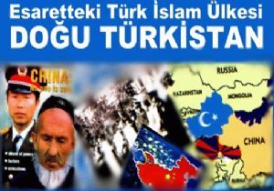 Tek umutları Türkiye