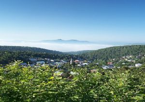 Erzurum Güllü'den Osmaniye'deki Küllü'ye