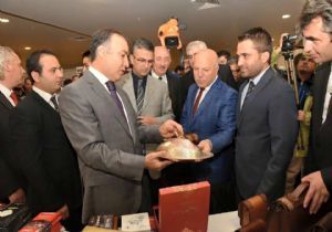 ERTANSA, ERKİF 2015'te