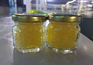 Su Ürünleri'nde havyar üretimine başlandı