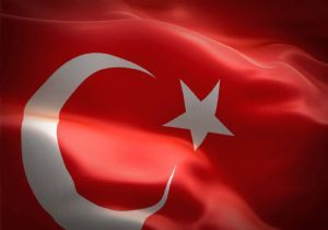 Koçak terörü telin etti
