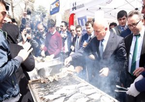 Sahil kenarı değil, Havuzbaşı