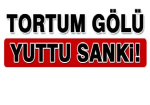 Araç Tortum Gölü'ne uçtu, sürücü kayıp