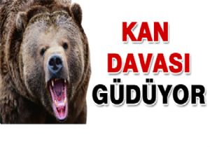 Bak sen şu Ayıya!