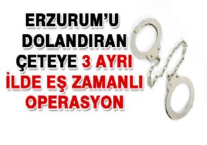 Dolandırıcılar 3 ayrı ilde yakalandı
