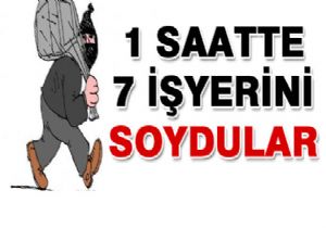 Erzurum'da 1 saatte 7 işyerini soydular