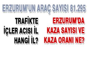 En kötü şoförler hangi ilden çıkıyor?