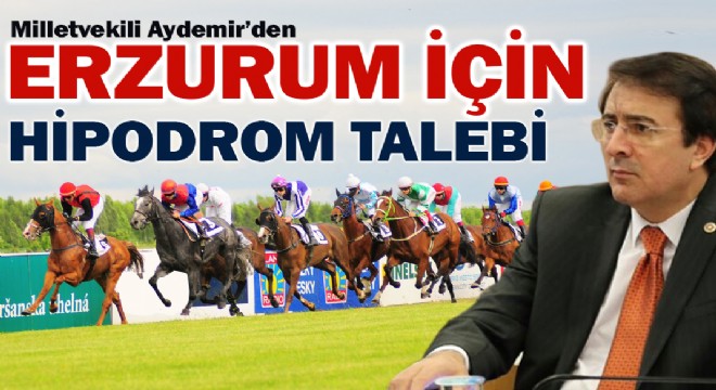 AYDEMİR'DEN ERZURUM İÇİN HİPODROM TALEBİ