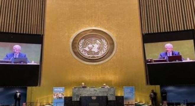 BM'de Türkiye dönemi