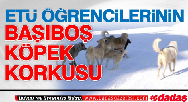 ETÜ öğrencilerinin başıboş köpek korkusu