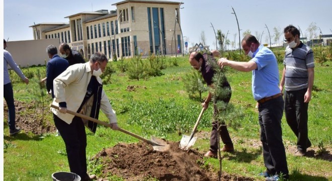 ETÜ'de yeni fidanlar can buldu