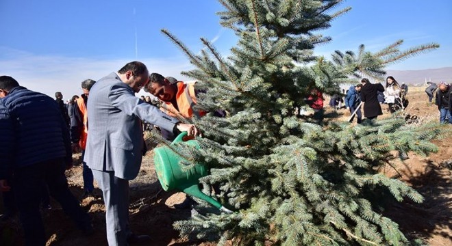 ETÜ'de12 bin ağaç toprakla buluştu