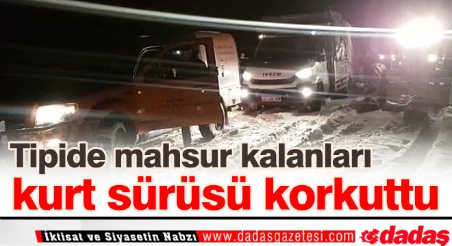 Erzurum'da tipide mahsur kalanları kurt sürüsü korkuttu
