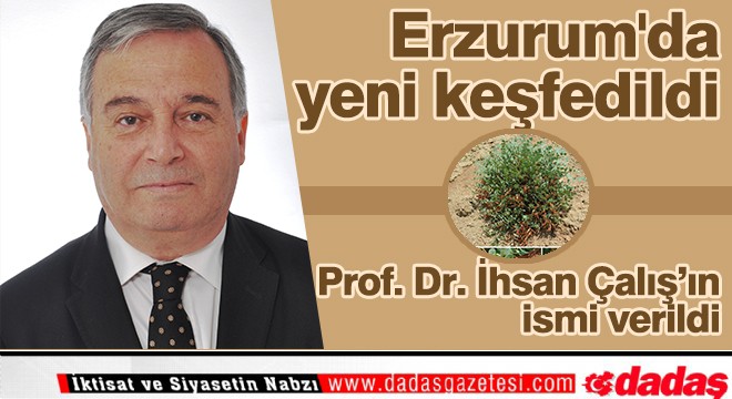 Erzurum'da yeni keşfedildi