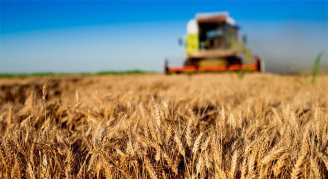 Erzurum tarımsal kredide 2'inci sırada