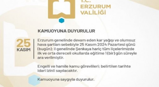 Erzurum'un 19 ilçesinde kar tatili