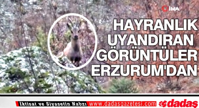 Hayranlık uyandıran görüntüler Erzurum'dan
