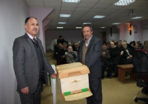 Bal'da organik süreç