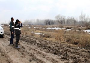 Karasu'da kuş sayımı