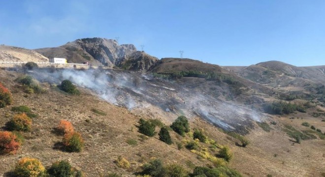 Kop Dağı'ndaki örtü yangını kontrol altına alındı