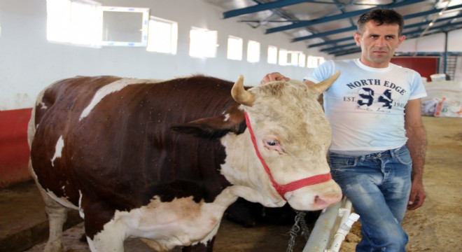 Kurban Pazarının Gaddar'ı satıldı