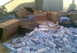 25 bin paket kaçak sigara ele geçirildi