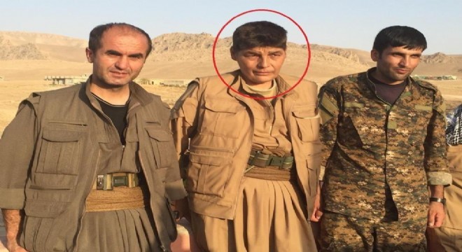MİT'ten Kamışlı'da nokta operasyon