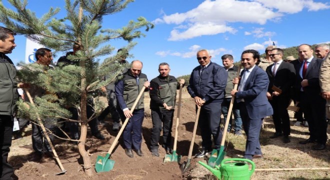 Oltu'da 5 bin fidan toprakla buluştu