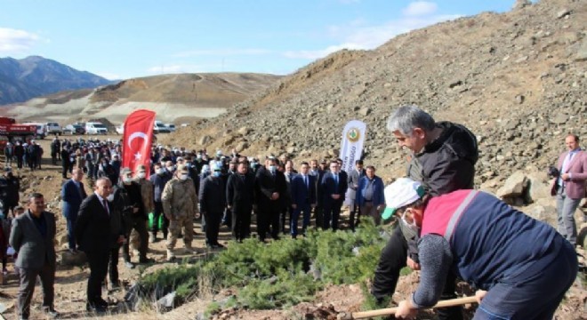 Oltu'da 6 bin fidan toprakla buluştu