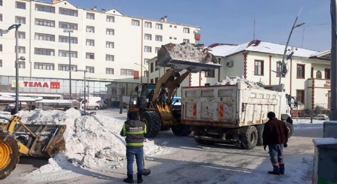 Pasinler'de Karla Mücadele