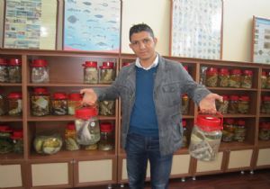 Doğa Müzesi ilgi odağı oldu