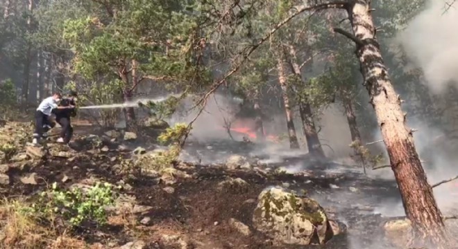 Sarıkamış'ta orman yangını söndürüldü