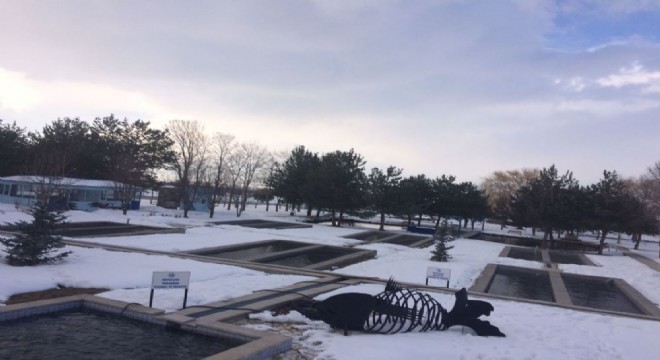 SÜF, yılda 10 ton balık üretiyor