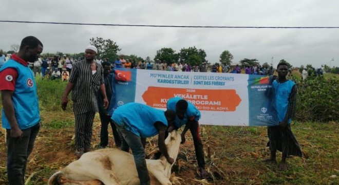 TDV'in 27 yıllık kurban verileri açıklandı